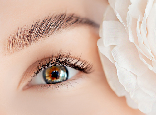 Packages for Eyelash Lifts in My Area